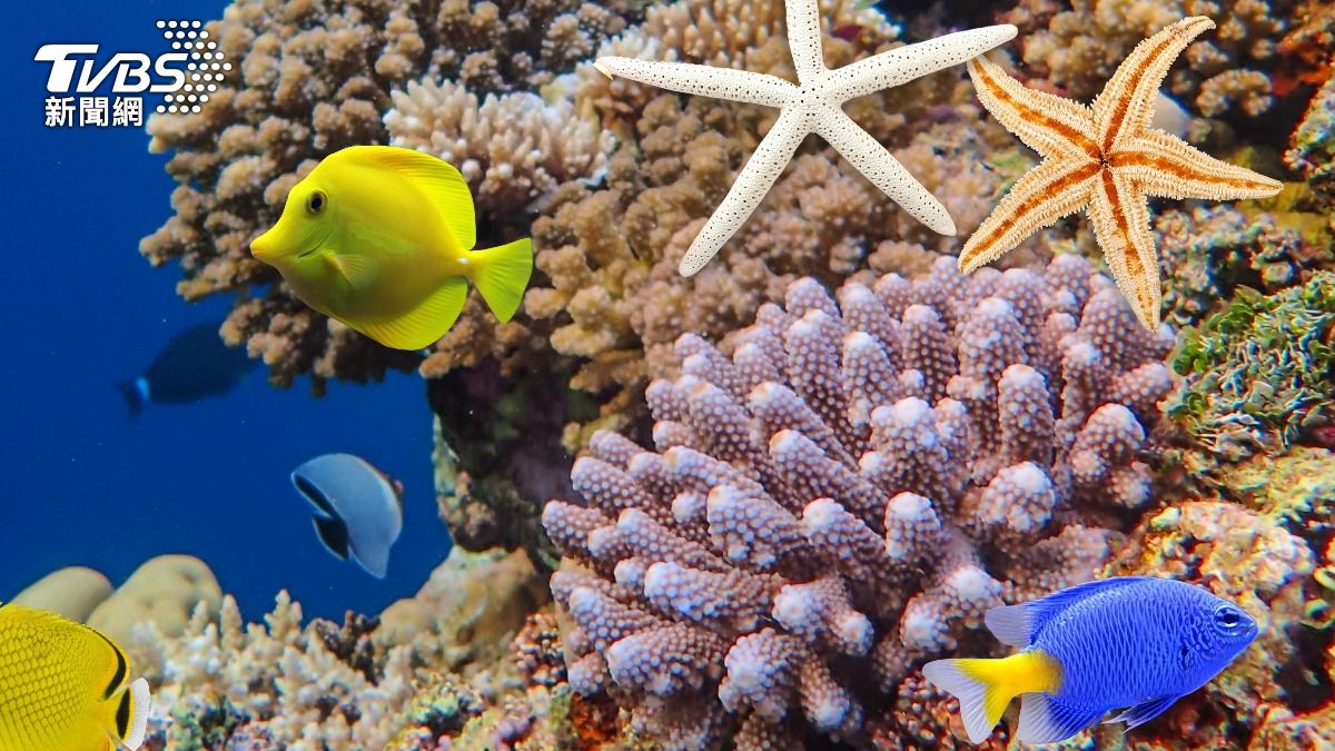 海洋持續「發燒」破紀錄!2025吸熱爆表、恐迎極端天氣