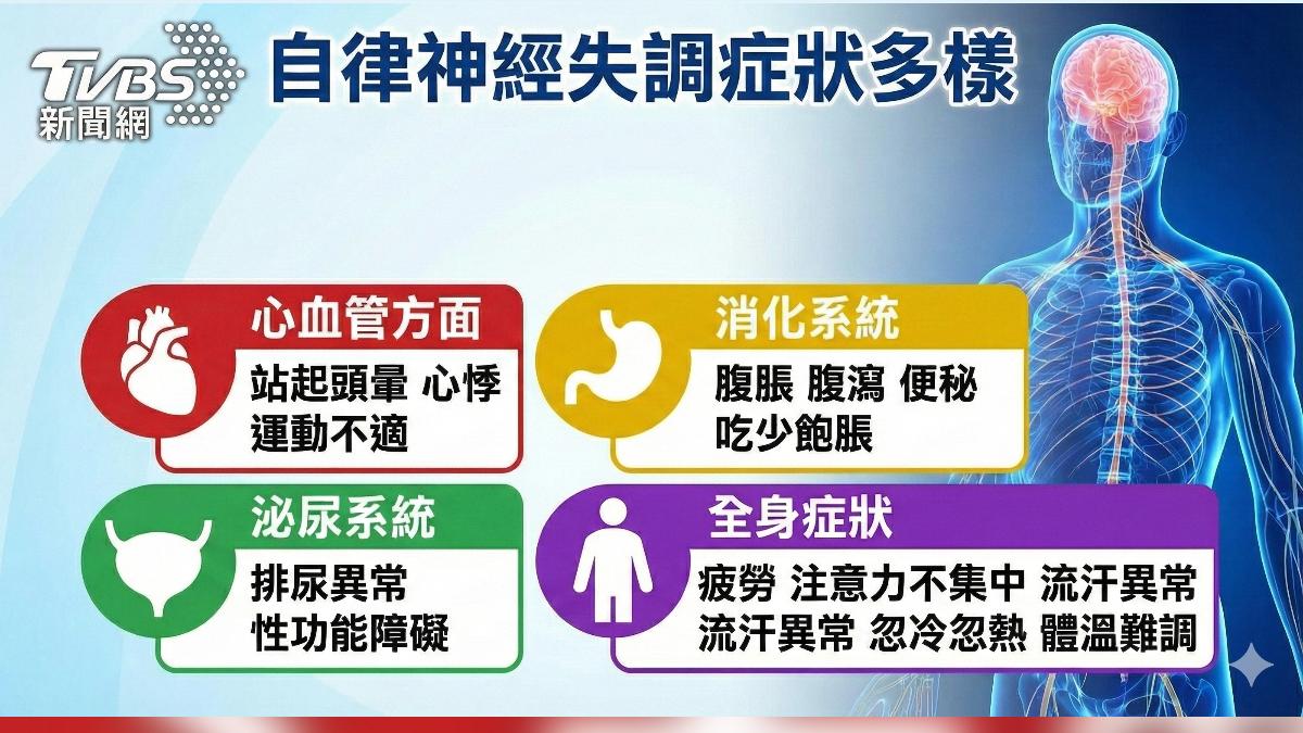 自律神經!長期處在警覺狀態 醫師:功能表現恐失常! (圖/TVBS)