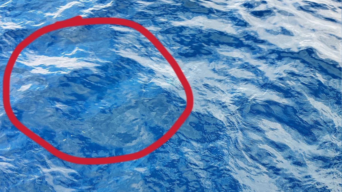 搜救F-16飛官不放棄!花蓮外海疑出現「浮油」 空軍回應了
