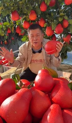 澎恰恰賣香水紅柚,掀起熱議。(圖/翻攝澎恰恰抖音)