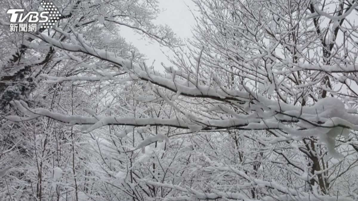 日本北海道到九州地區迎來強降雪與強風。（示意圖片／shutterstock達志影像）