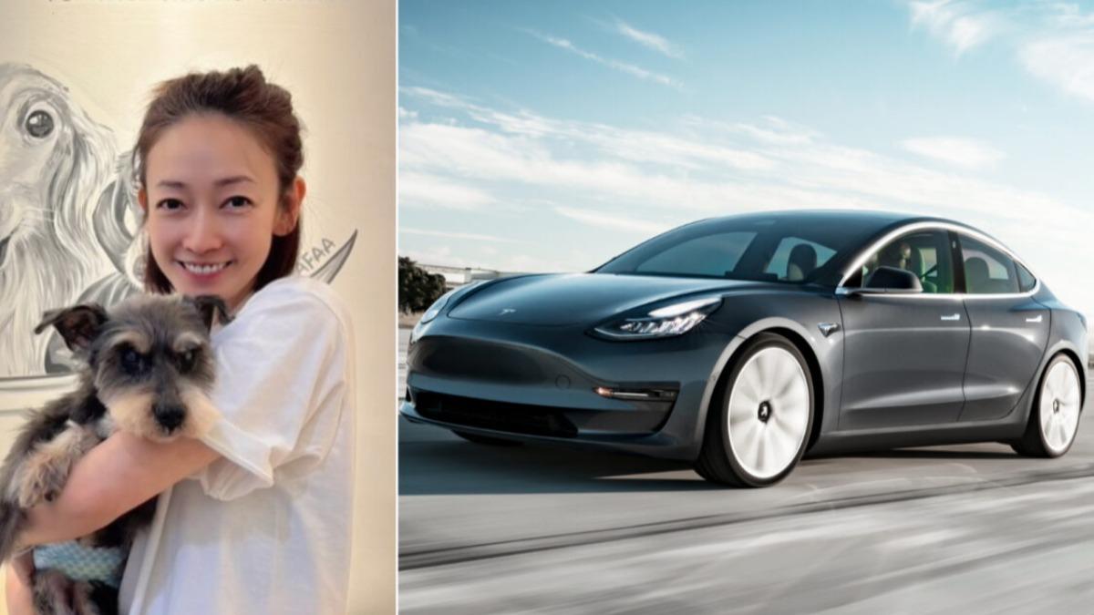 潘慧如分享Model 3快充大約30分鐘，滿電續航約350公里，搭配自動駕駛、避車雷達與影像輔助系統，不論市區通勤或長途移動，整體駕駛感受都很一致。（圖／翻攝自潘慧如fb、特斯拉提供）