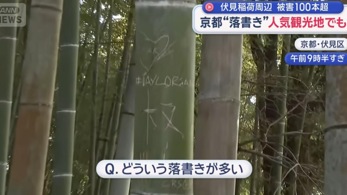 京都伏見稻荷大社遊客太沒品 瘋刻「到此一遊」百棵竹子受損