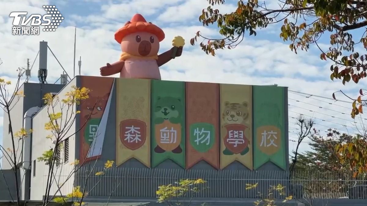 高雄內門野森動物學校即將開幕，但高票價可能讓民眾卻步。（圖／TVBS）
