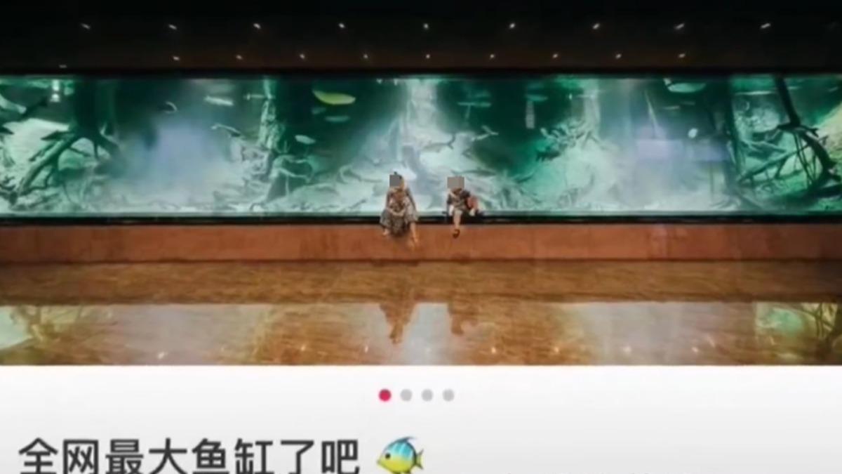 家中有巨型魚缸養鯊魚。(圖/翻攝自小紅書、微博)