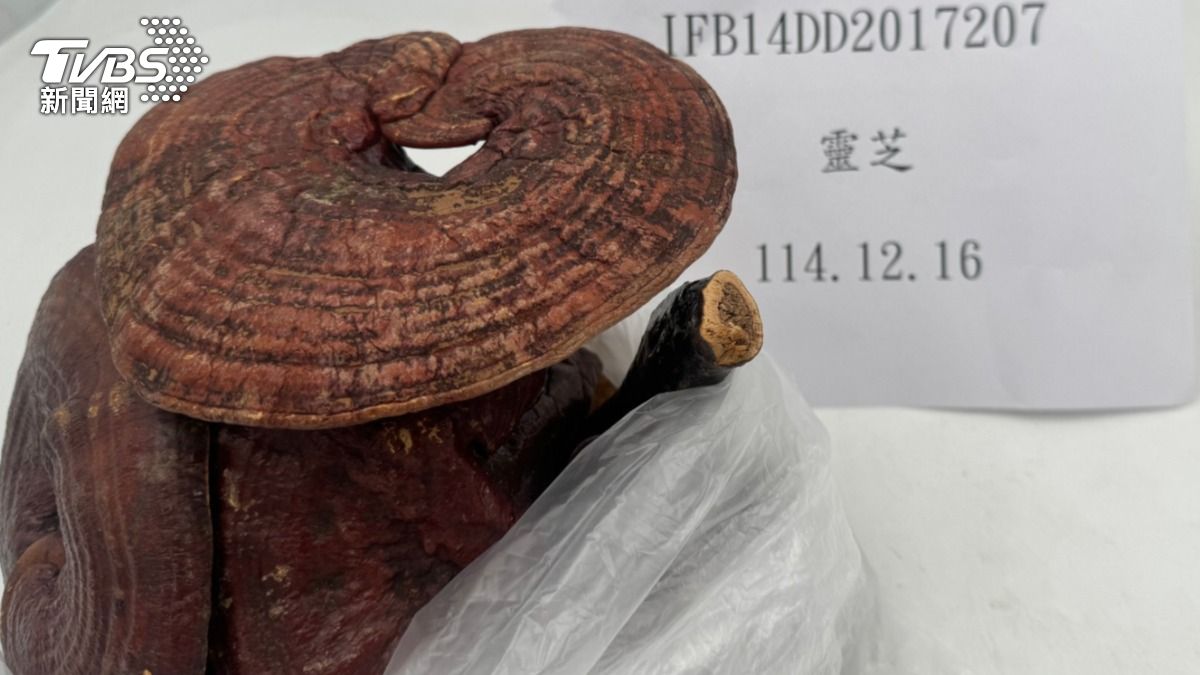 迪化街中藥行進口大陸靈芝竟含「禁用農藥」 日本草莓農藥超標