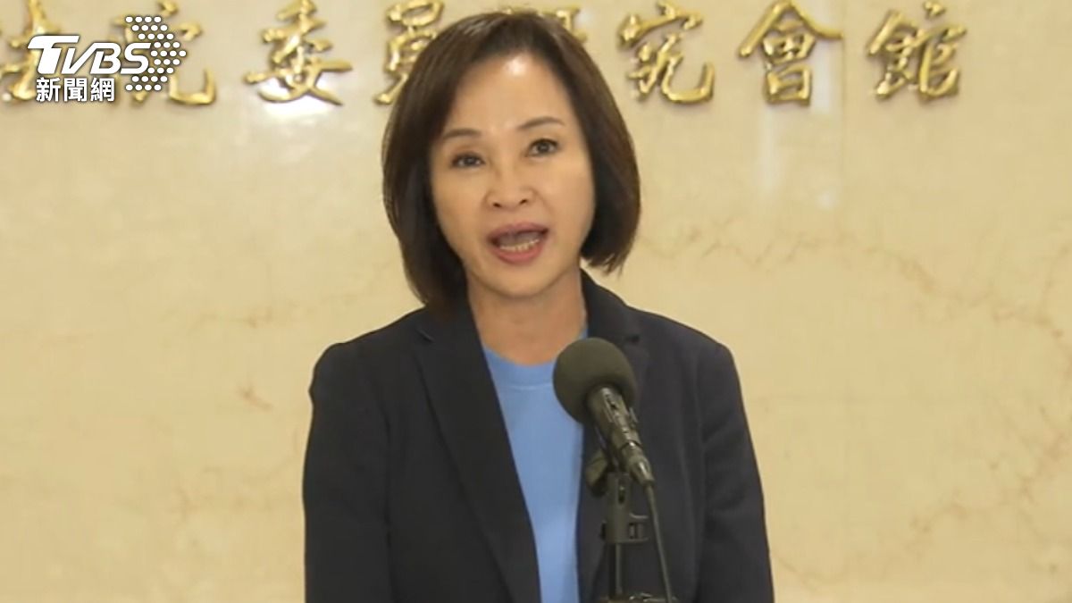 確定對決賴瑞隆，柯志恩定調選戰為「與新潮流的對決」。（圖／TVBS）