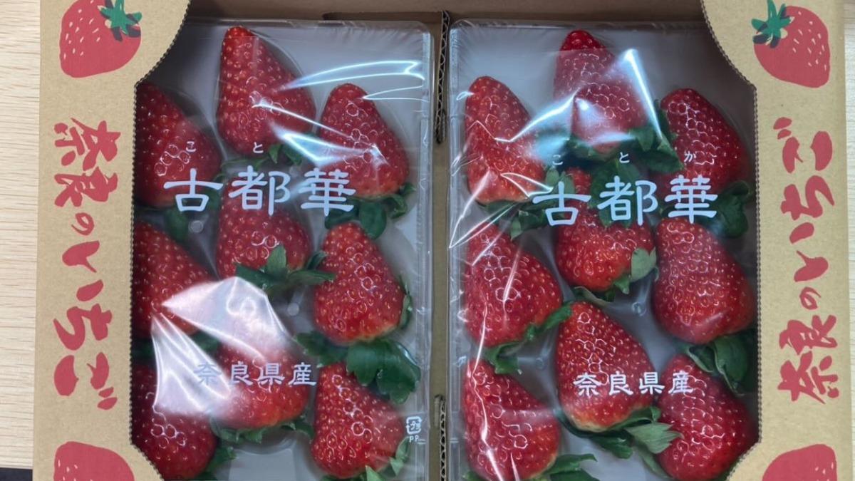 古都華草莓18日登台!甜度15度 LOPIA總經理:日本也難買