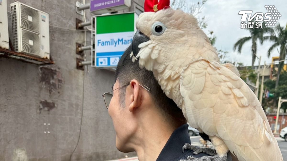 飼主控訴愛寵「鳥寶」因旅宿業者「灌食嗆死」,氣憤提告。(圖/飼主提供)