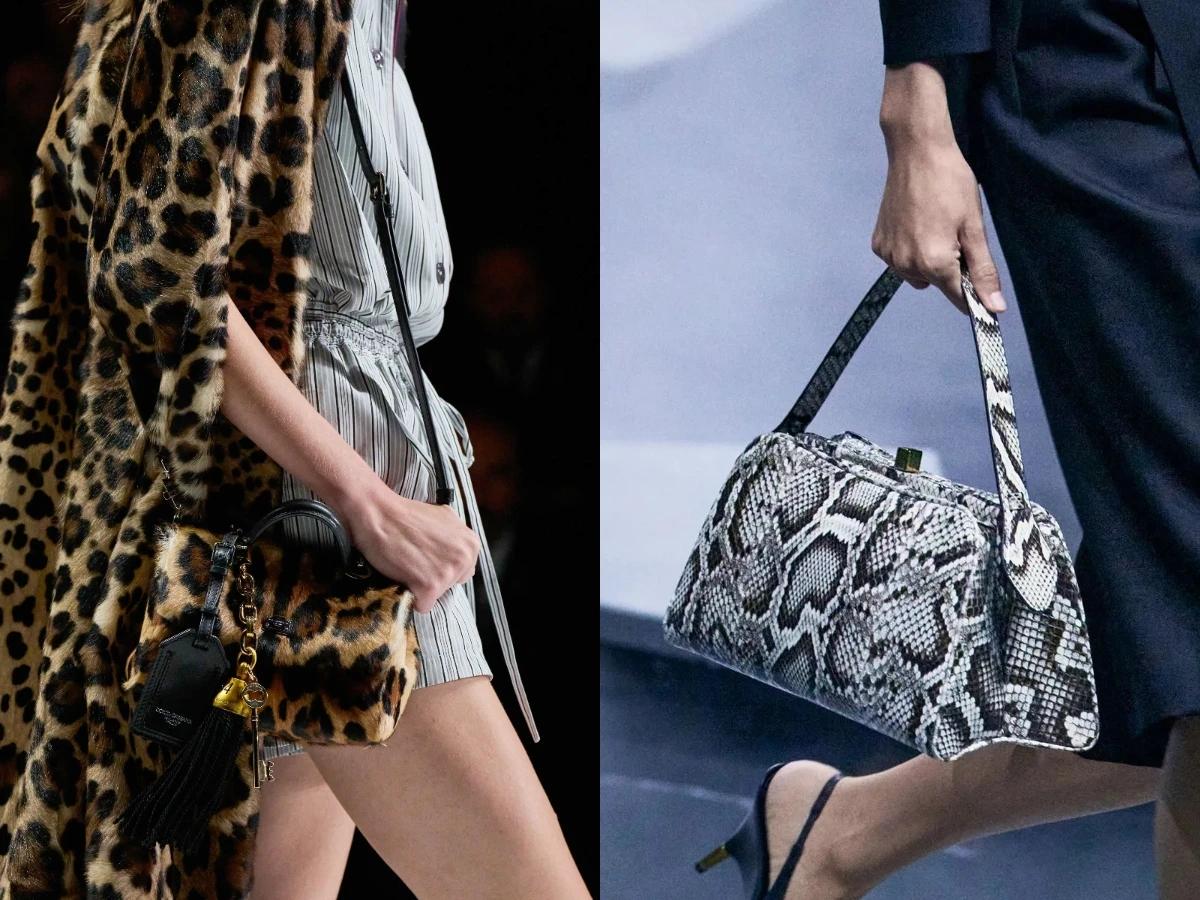 動物花紋也在2026年強勢回歸。(圖/Dolce & Gabbana、Khaite提供)