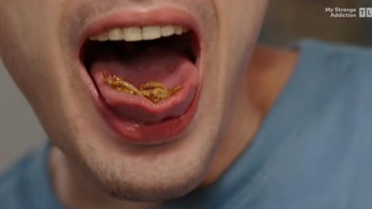 美男天天吃百隻活蟲!蟑螂內臟像奶凍 喜歡蟲幫舌頭按摩