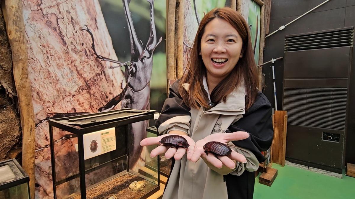 不是愚人節玩笑！宜蘭有農場真的辦「世界蟑螂特展」