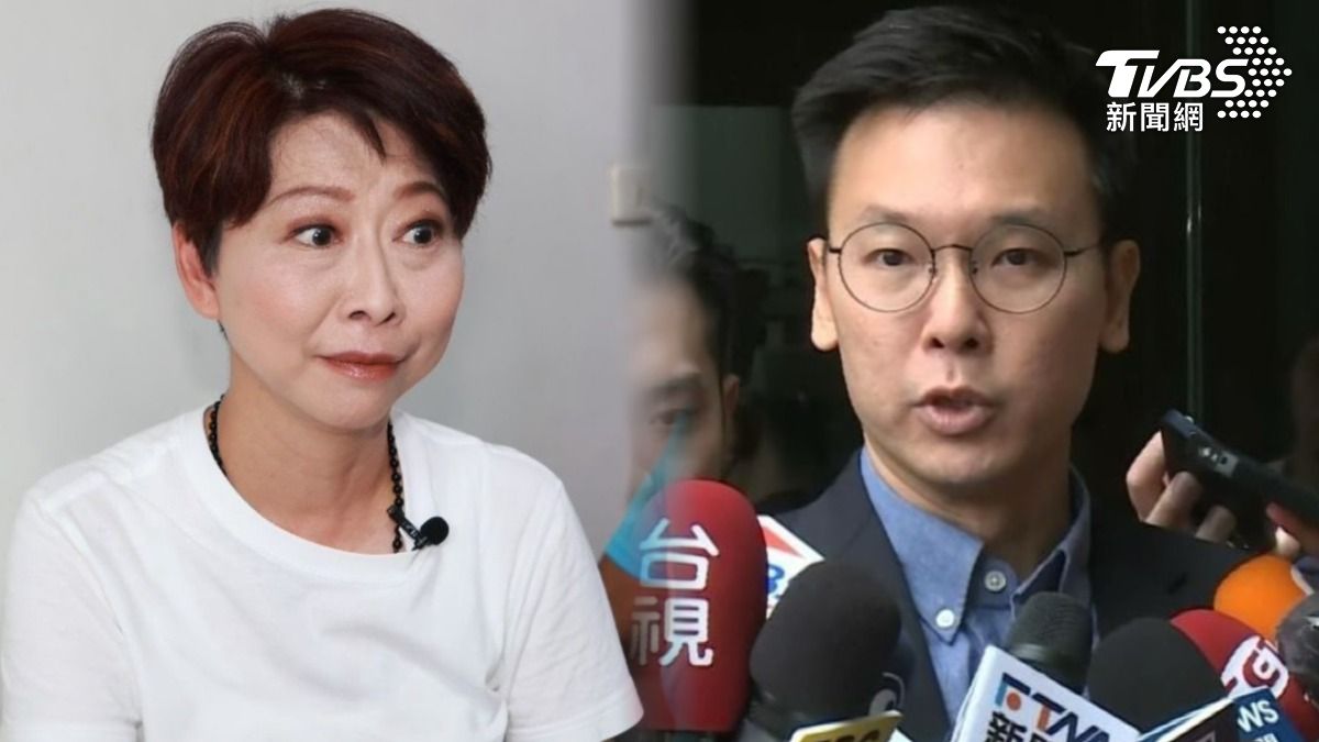 吳子嘉斷言陳亭妃應該會選上，而後續的立委補選，他認為會由國安會副秘書長林飛帆對上無黨籍前台南市議長郭信良。（圖／TVBS）