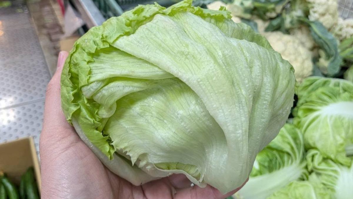 美生菜跳水30元!「切口紅紅」千萬別丟 2挑選攻略曝光