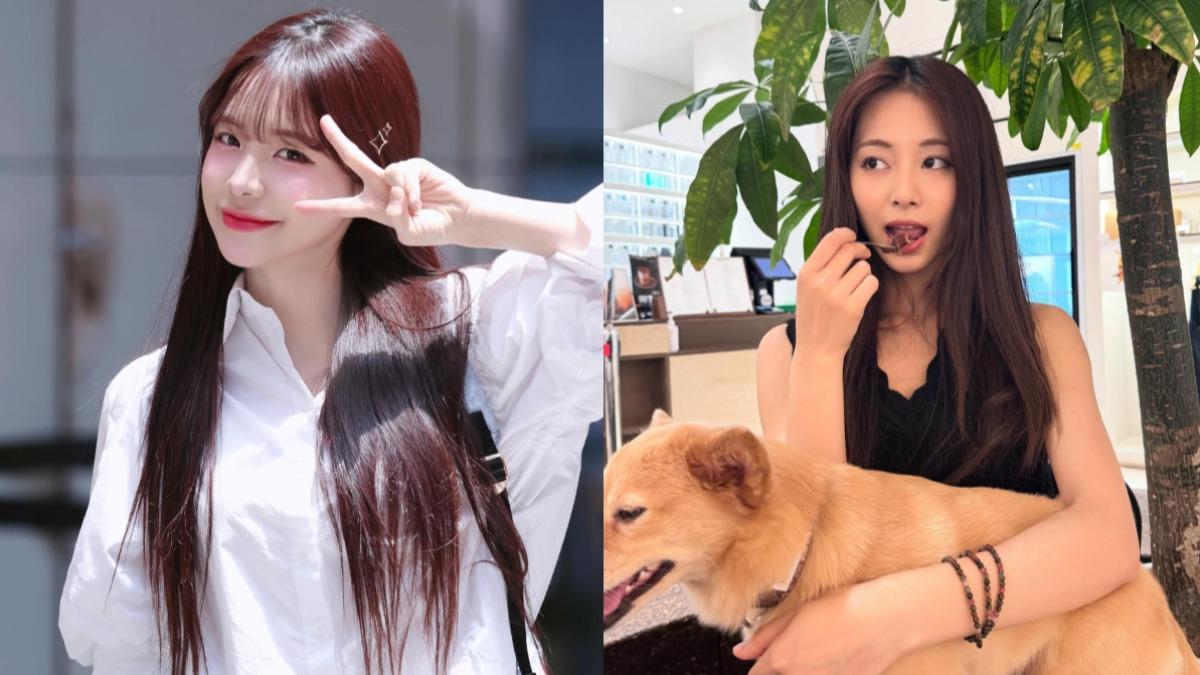 嘲李多慧口音!苦苓怒轟林妍霏4錯誤 反問:若韓國人笑周子瑜?