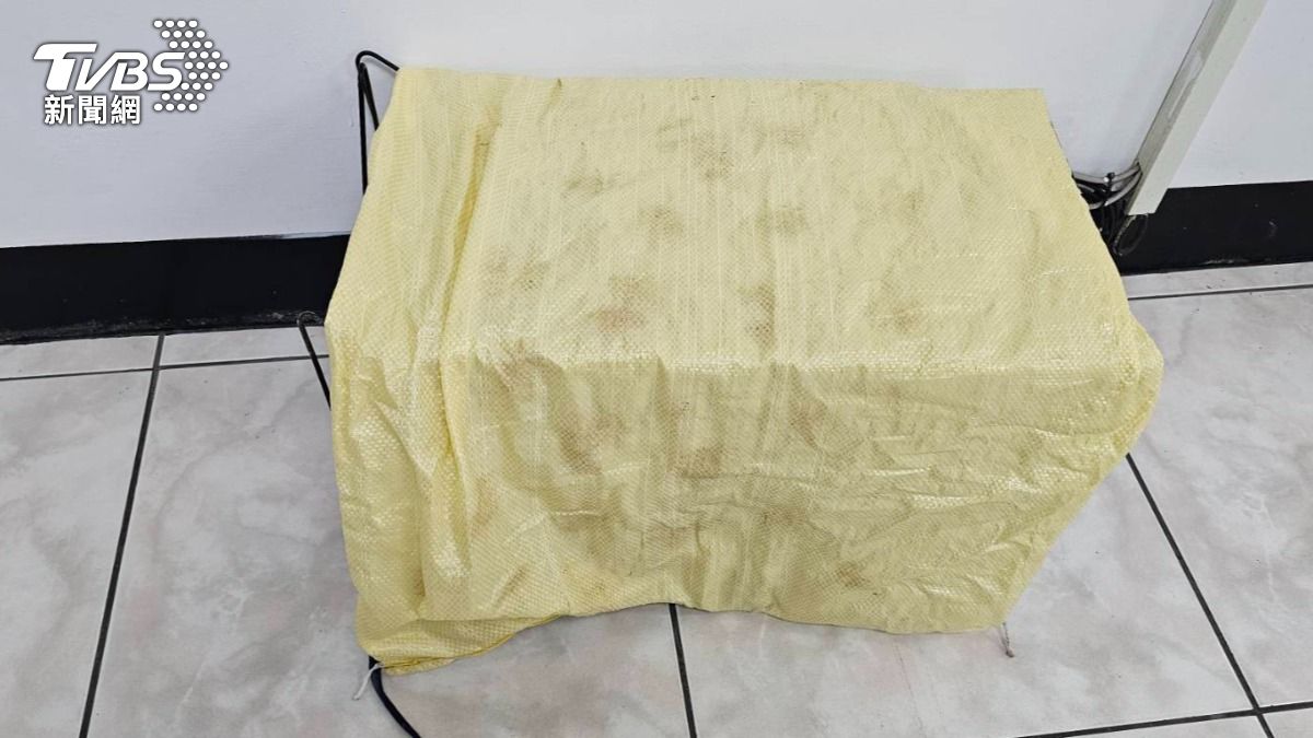 森林護管員利用紙箱、布類將受傷的猛禽簡易遮蔽隔離，降低牠的緊迫感。（圖／TVBS）