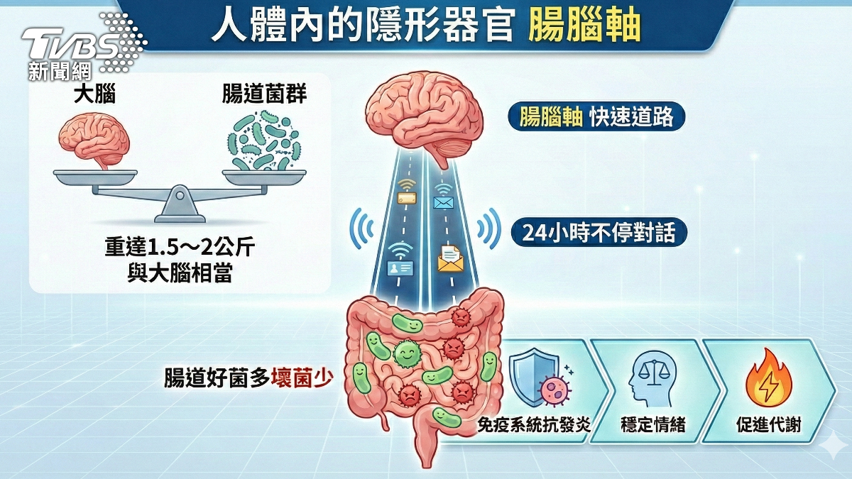 腸菌失衡不只拉肚子 醫師:情緒.免疫代謝受影響!(圖/TVBS)