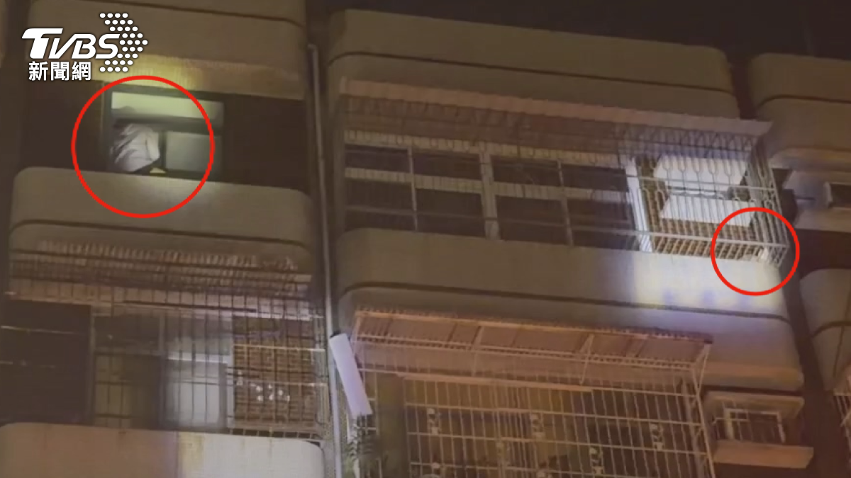火災發生後,其中一隻橘色貓咪受到驚嚇,逃竄至隔壁鄰居家的陽台,不論怎麼呼喚都不肯回家。(圖/TVBS)