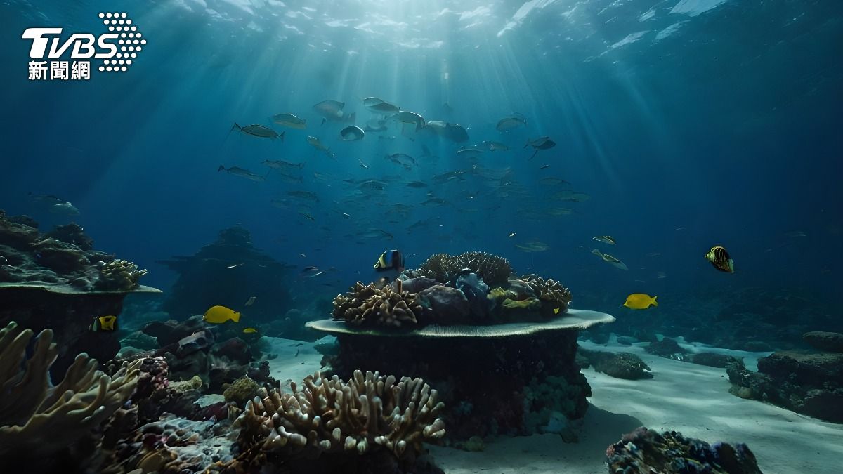 聯合國公海條約生效 為保護海洋生態提供法律框架