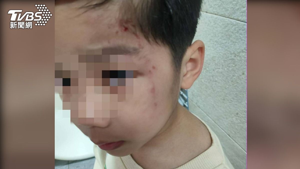 滑梯落差大、地面全石頭!竹北AI園區安全堪憂,家長心有餘悸。(圖/當事蔡先生提供)