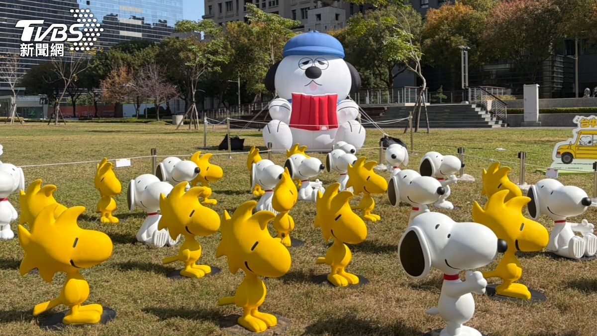 在台中市議會前綠地廣場展出3公尺高史努比與Olaf大型氣偶。（圖／林冠丞攝）