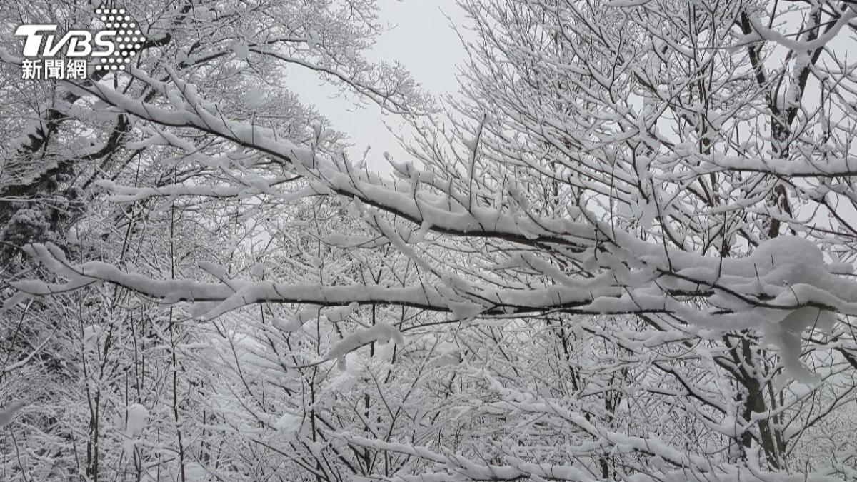 北海道、冰島都適用！網狂推「這雙防水軍靴」：走雪地也不滑