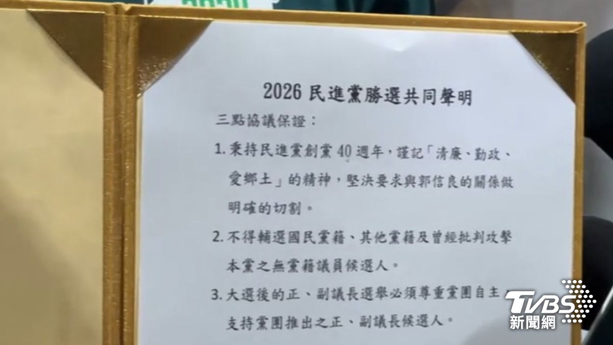 民進黨台難勝選協議（圖／TVBS資料畫面）