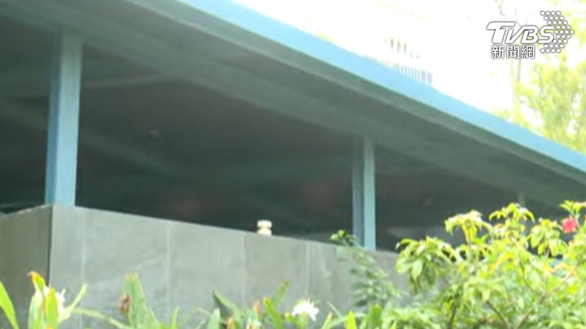 大安森林公園 (圖/TVBS)