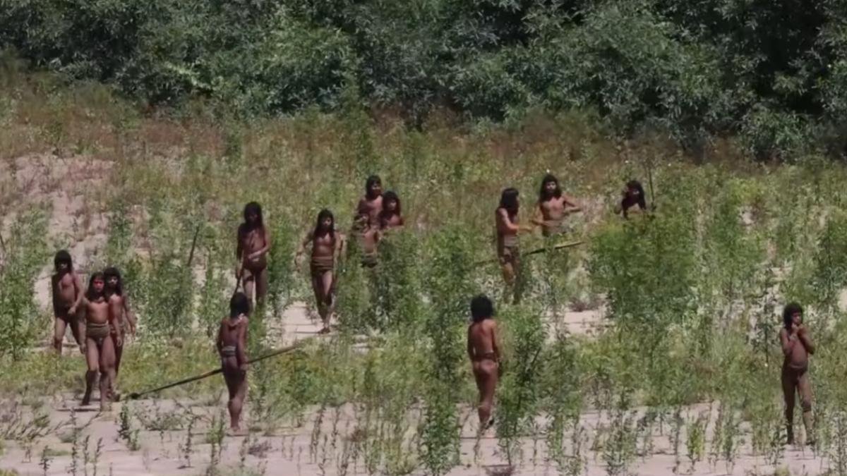 昨天還一起跳舞!亞馬遜部落突翻臉 嚮導遭2公尺巨箭射穿胸腹