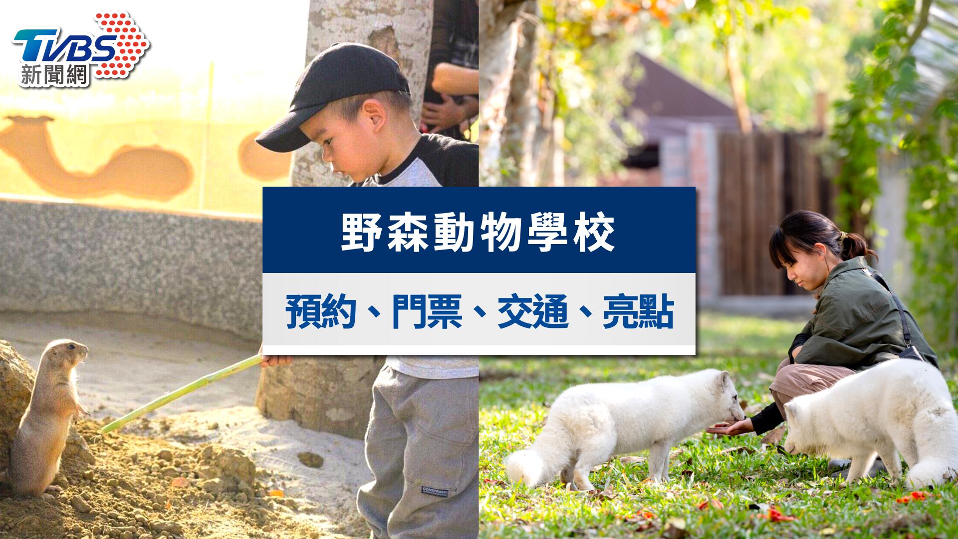 野森動物學校懶人包》預約門票、6大亮點與交通,高雄內門動物園全攻略