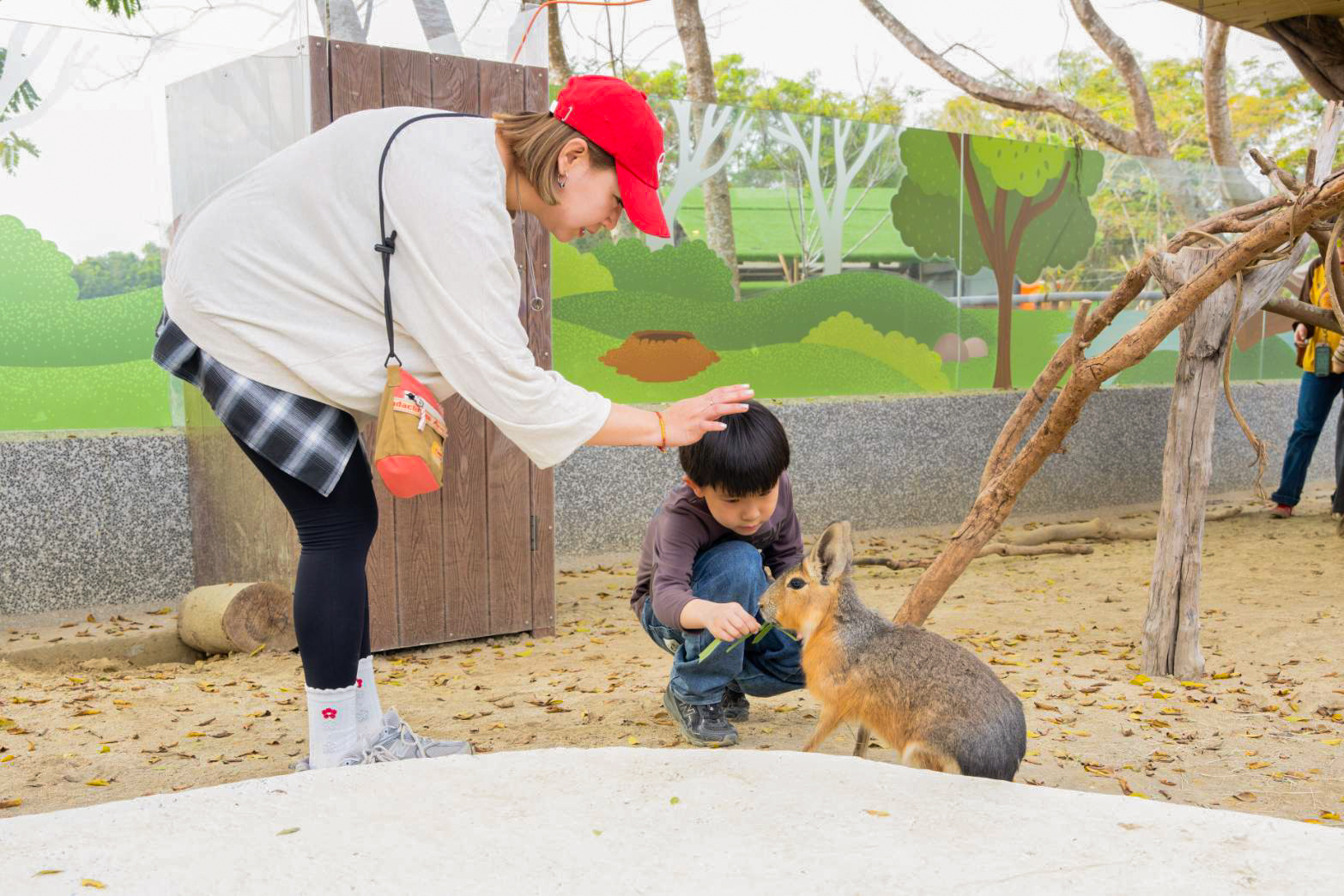 野森動物學校-野森動物學校預約-野森動物學校門票-野森動物學校票價-野森動物學校交通-野森動物學校接駁車-高雄內門親子景點-高雄內門動物園-高雄第二座動物園-狐狸谷