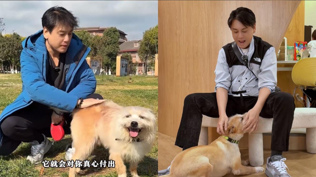 朱孝天分享愛犬六六的悲慘故事,痛心狗販偷狗且惡質對待。(圖/翻攝自朱孝天小紅書)