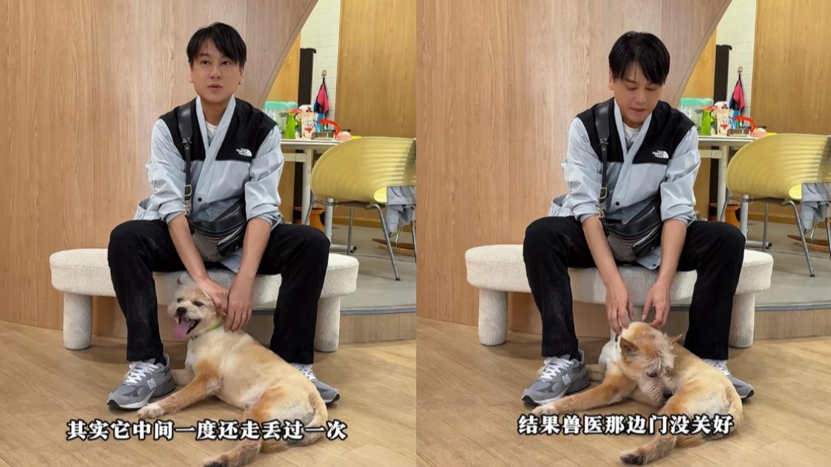 朱孝天收養六六後,一度因獸醫照顧不周而走丟。(圖/翻攝自朱孝天小紅書)