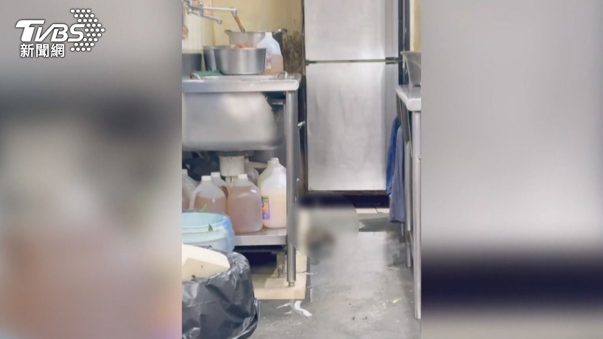 兩月前才爆廚房有鼠!北區名店筍絲驚見「拖把繩」 食安處將稽查。(圖/TVBS)