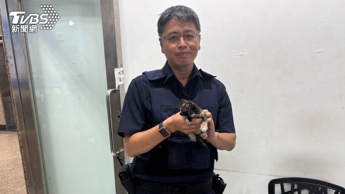 引擎蓋傳微弱「喵喵聲」高雄暖警救幼貓 心疼:眼睛都還沒睜開