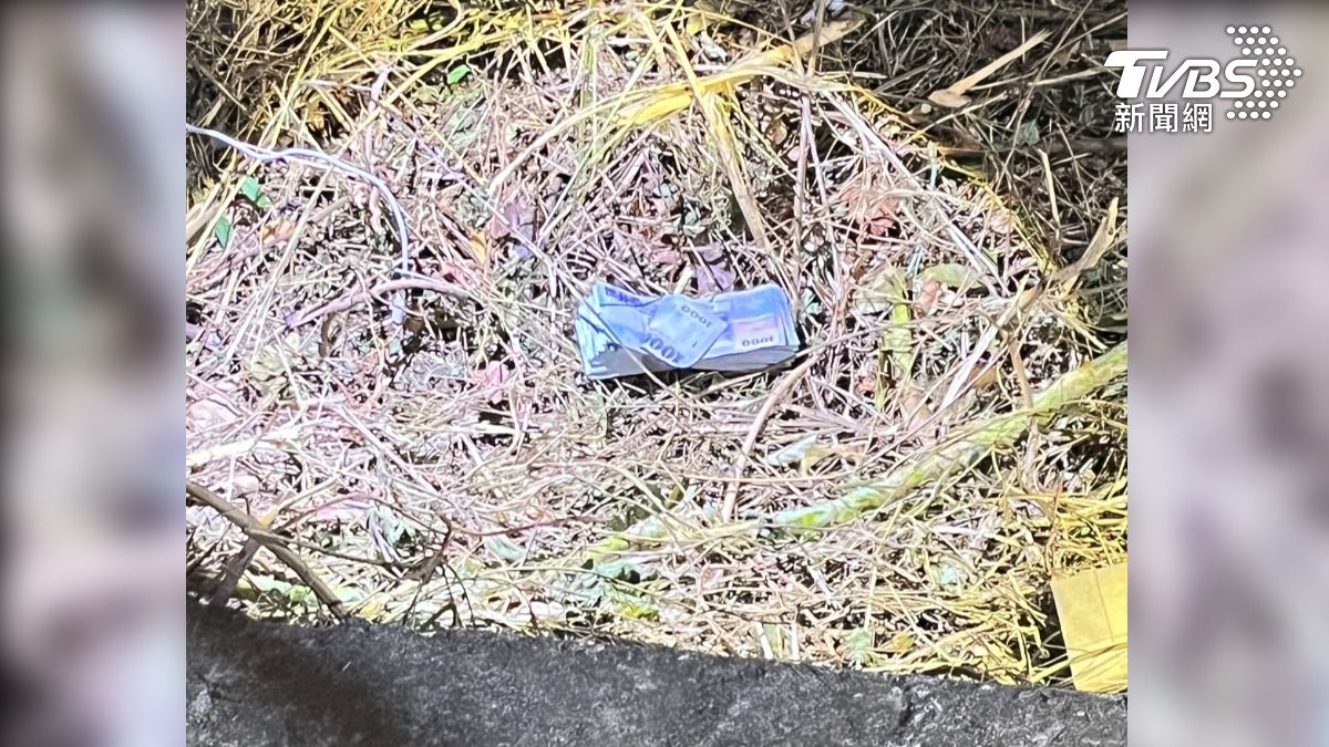警消仔細搜索,不過人沒找到,卻先在草叢找到了兩疊,各十萬元的千元大鈔,共20萬元(圖/TVBS)