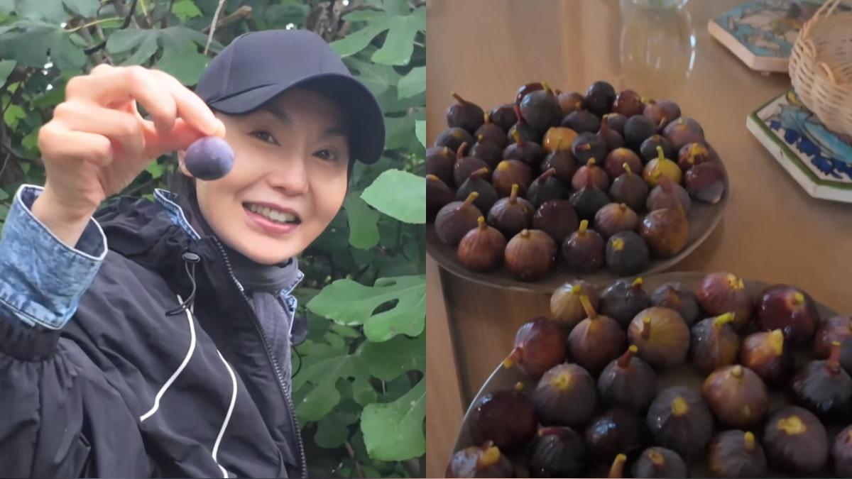張曼玉重返小紅書!冒雨爬梯採無花果 素顏Vlog美貌不減