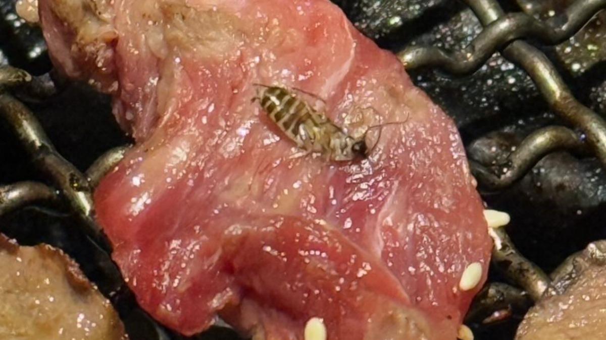 北市吃到飽驚現「火烤肉片蟑螂」 店家道歉:食安問題責無旁貸