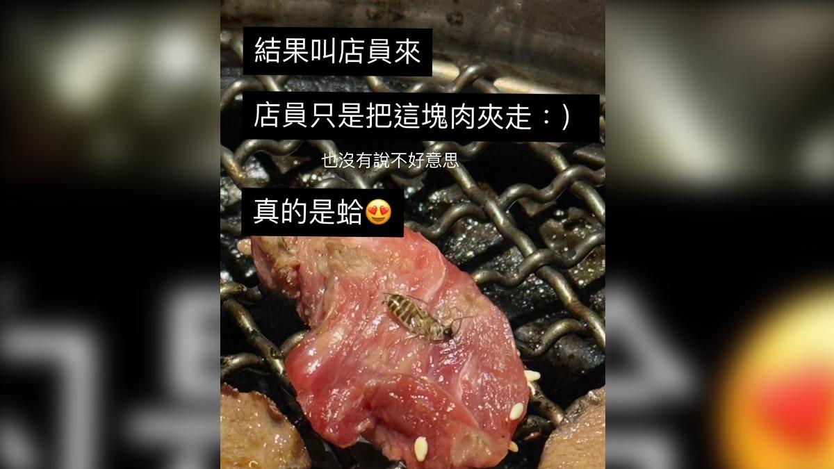 北市吃到飽驚現「火烤肉片蟑螂」。（圖／網友＠kar0918kar0918授權提供）