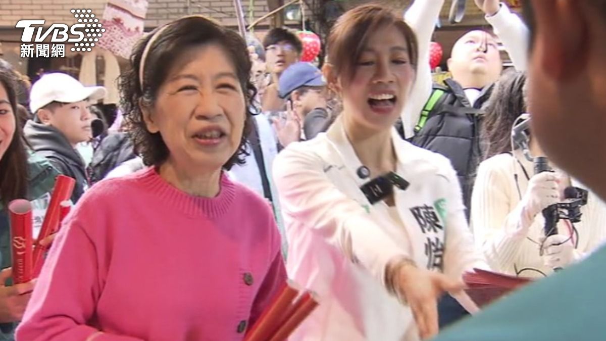 陳佩琪痛批執政黨利用司法打壓異己,誓言發文到民進黨下台。(圖/TVBS)