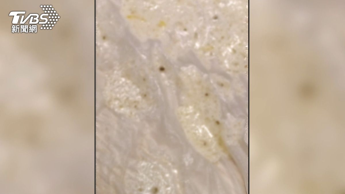 湯匙舀起的內容物放到衛生紙上,竟然有超過8隻以上的蟲子,讓她直呼「無敵的噁心」 畫面翻攝 FACEBOK ●【爆料公社】●