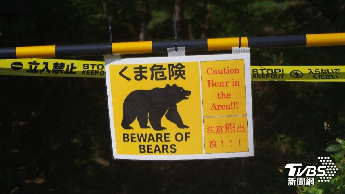 日本新潟溫泉旅館遭熊「破窗」闖入廚房 3人急撤2樓逃命