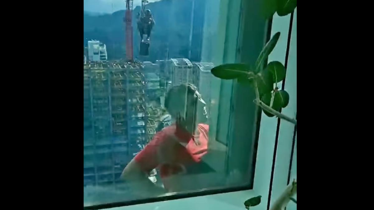 霍諾德爬101!德國在台協會樂喊「蜘蛛人來訪」曝33樓超近視角