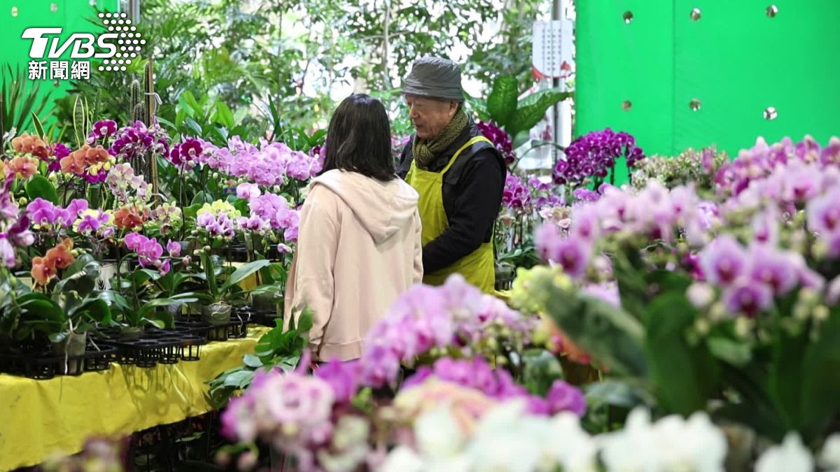 拈花惹草，最受歡迎的消遣，市場逐年攀升。（圖／TVBS）