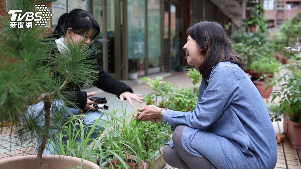 療癒身心，種植過程五感官接收，提升免疫。（圖／TVBS）