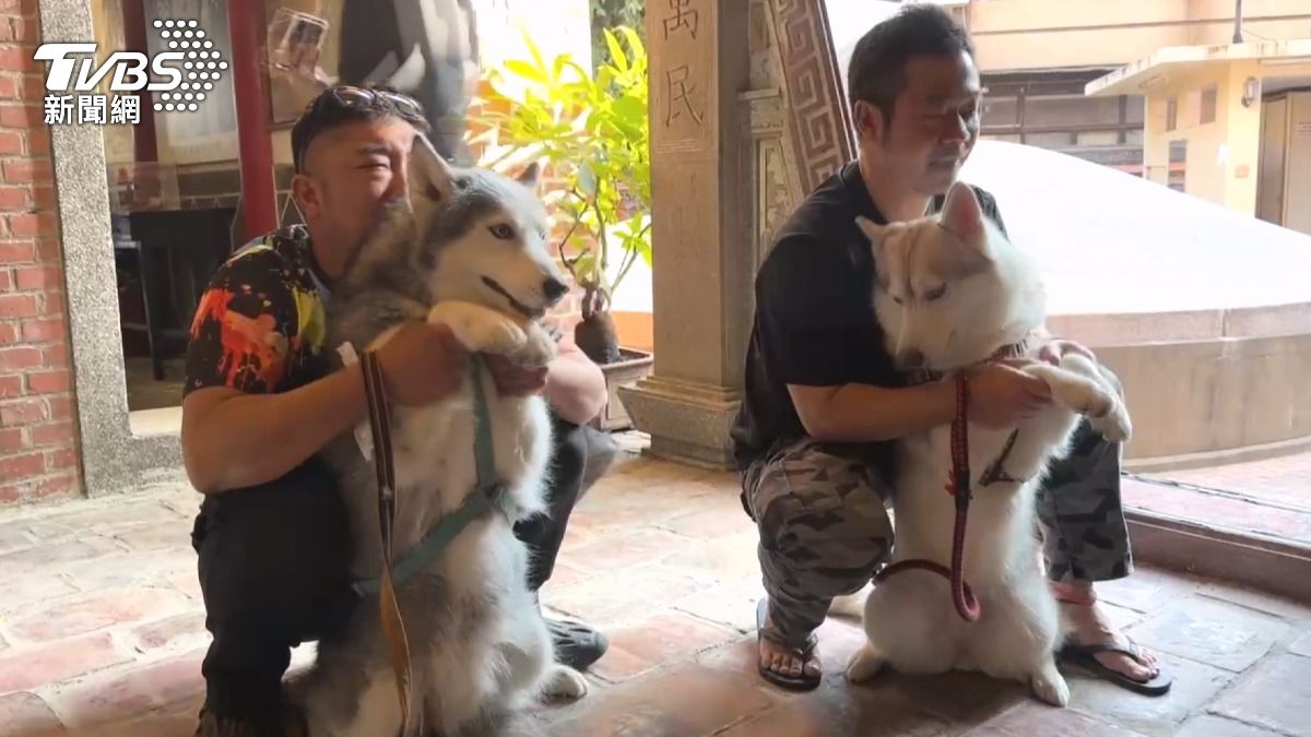 近年來兒童點燈的數量減少,寵物點燈的數量則明顯增加。(圖/TVBS)