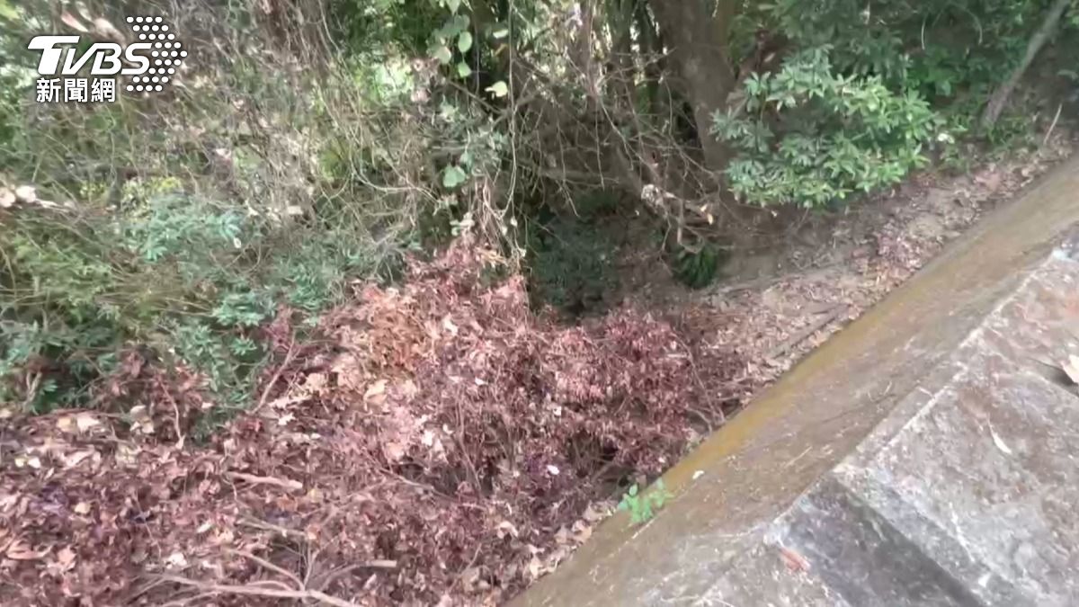 警方初步比對後確認白骨與邱姓二寶媽特徵吻合,已報請地檢署相驗並採集家屬DNA進行比對。(圖/TVBS)