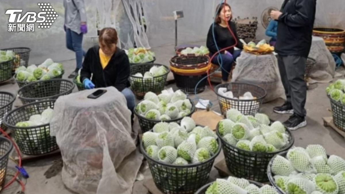過年送禮推薦!「1水果」正值產季 口感Q彈又營養