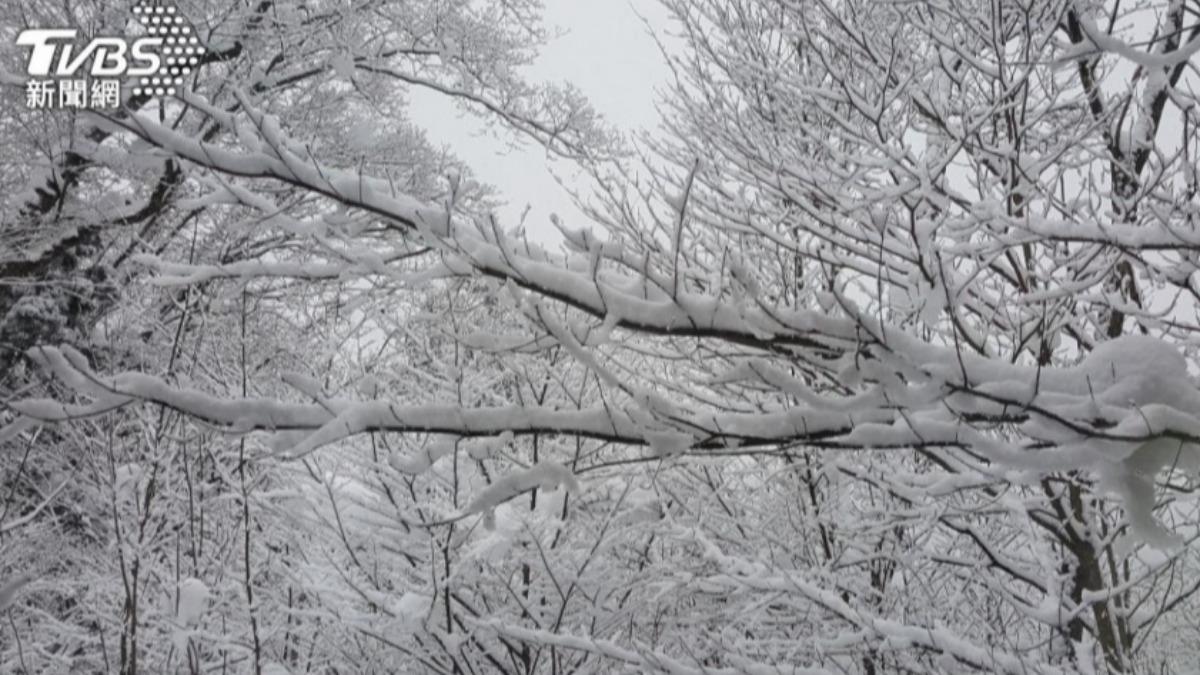 日本遭遇入冬以來最強寒流,北海道札幌積雪4年來首度突破1公尺。(示意圖/shutterstock達志影像)