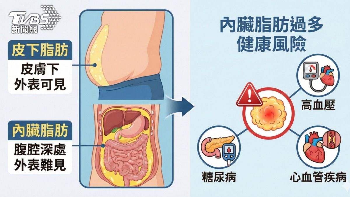 肌肉量高=更年輕的腦?研究揭「肌肉與大腦」驚人關聯 (圖/TVBS)